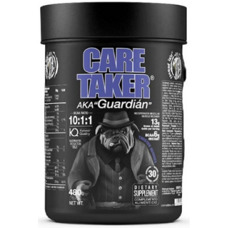 Zoomad Labs Caretaker BCAA 480g